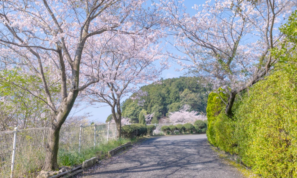 澄んだ空気と美しい景色